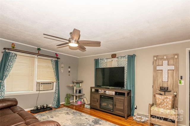 47 Campground Rd, Asheville, NC 28805 - living room featuring cooling unit, wood finished floors, ceiling fan, ornamental molding, and a glass covered fireplace