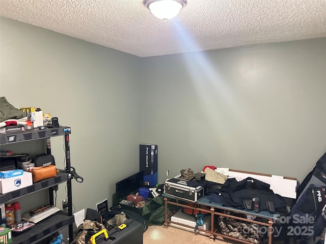 1250 Landsdowne Dr, Conover, NC 28613 - bedroom with a textured ceiling