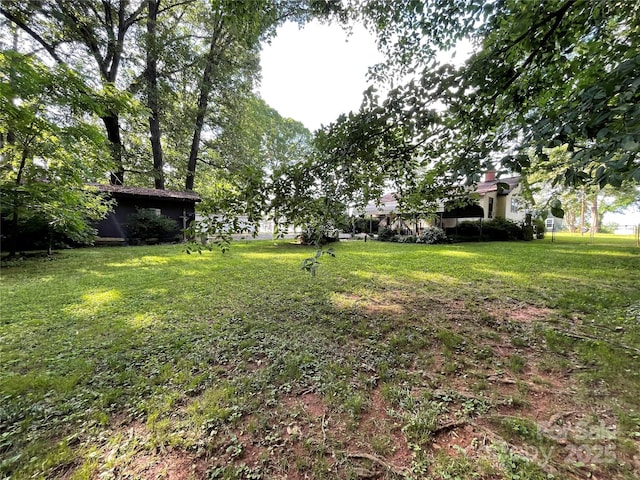 2411 Rebecca Ave, Charlotte, NC 28208 - view of green lawn