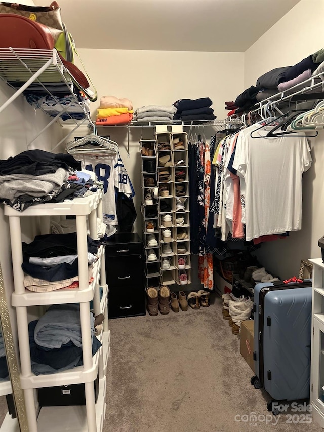 903 Von Buren Blvd, Rock Hill, SC 29730 - spacious closet featuring carpet