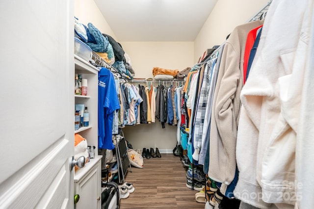 4703 David Cox Rd, Charlotte, NC 28269 - spacious closet with wood finished floors