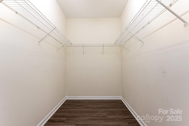 4703 David Cox Rd, Charlotte, NC 28269 - photo 14
