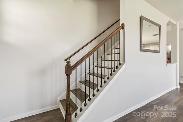 2423 Tallet Trce, Charlotte, NC 28216 - photo 20