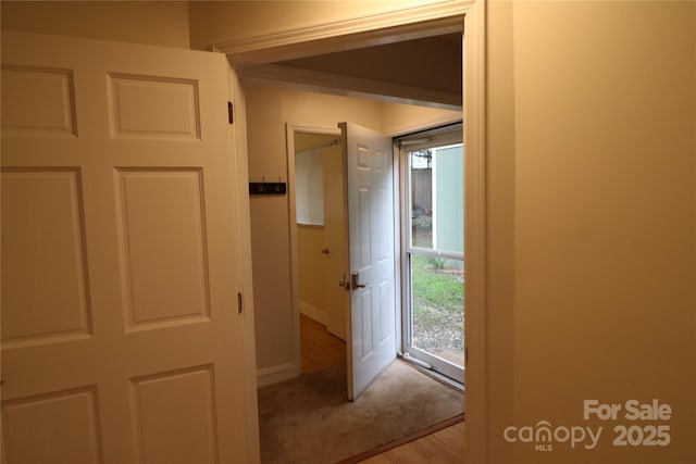9 Oakland St, Weaverville, NC 28787 - corridor with baseboards