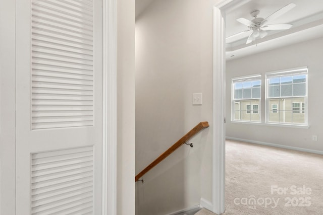 1204 May Apple Dr, Matthews, NC 28104 - staircase featuring carpet floors and ceiling fan