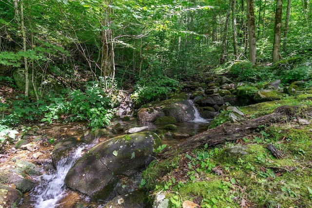87 Ali Ave, Bakersville, NC 28705 - photo 5