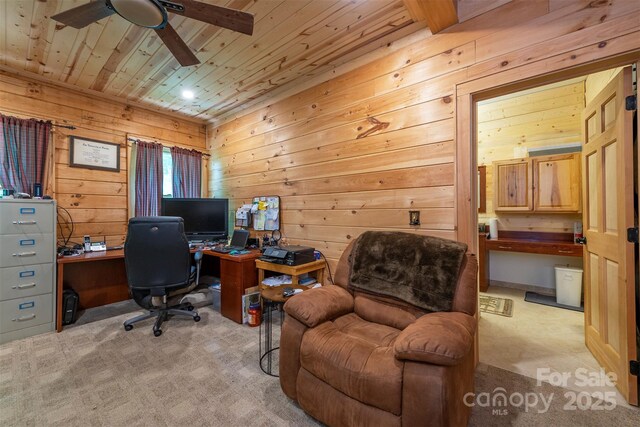 87 Ali Ave, Bakersville, NC 28705 - photo 31