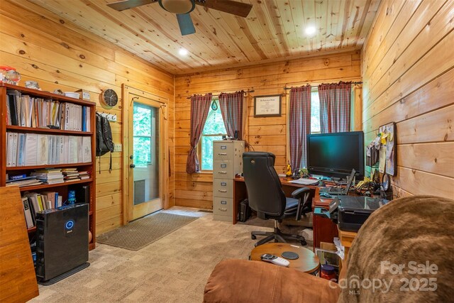 87 Ali Ave, Bakersville, NC 28705 - photo 32