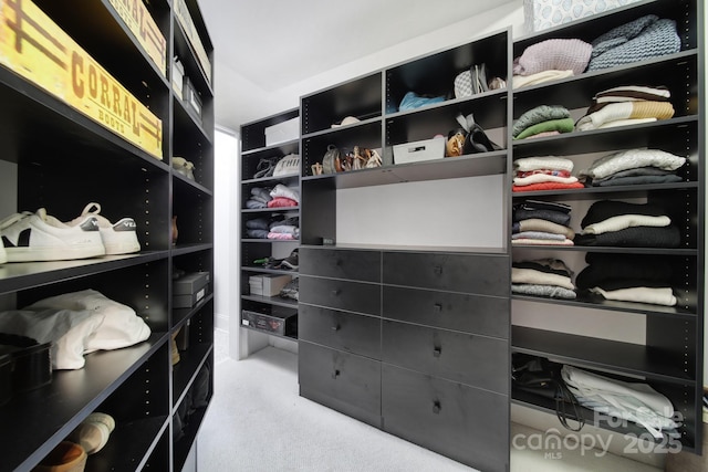 8016 Pemswood St, Charlotte, NC 28277 - spacious closet with carpet