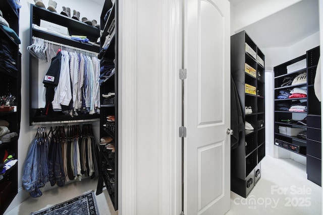 8016 Pemswood St, Charlotte, NC 28277 - view of spacious closet