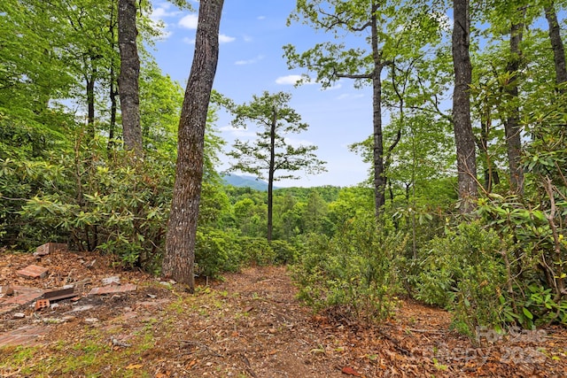285 Fairway Loop Unit 7, Burnsville, NC 28714 - view of woods