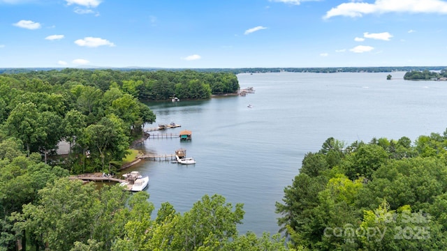 16112 Terry Ln, Huntersville, NC 28078 - photo 46