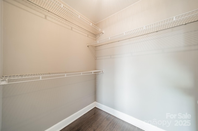 1315 E Blvd Unit 327, Charlotte, NC 28203 - walk in closet featuring dark wood-style floors