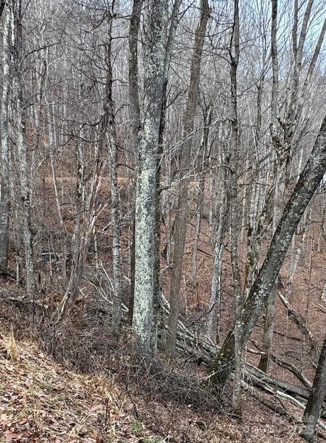 00 Spring Brook Dr Unit 314, Mars Hill, NC 28754