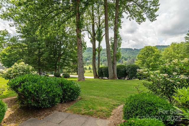 103 Golfside Dr, Flat Rock, NC 28731 - view of green lawn