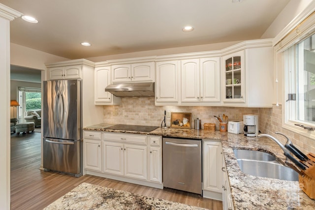103 Golfside Dr, Flat Rock, NC 28731 - kitchen featuring appliances with stainless steel finishes, under cabinet range hood, light wood-style floors, light stone counters, and glass insert cabinets