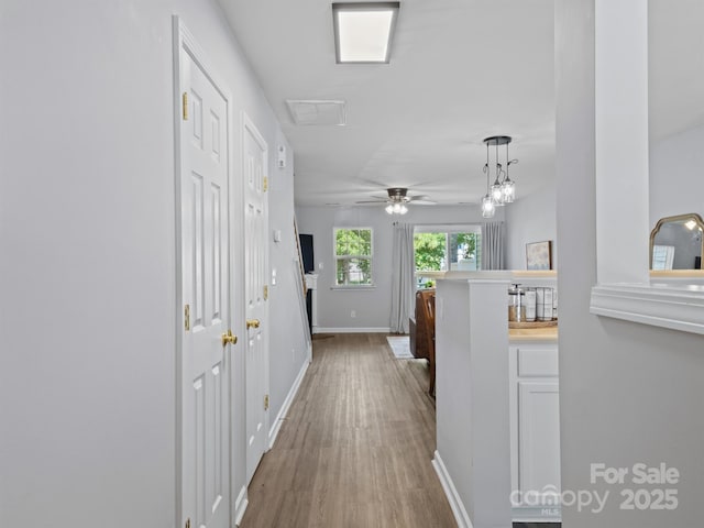 3414 Broadwick St, Charlotte, NC 28213 - corridor with wood finished floors and baseboards