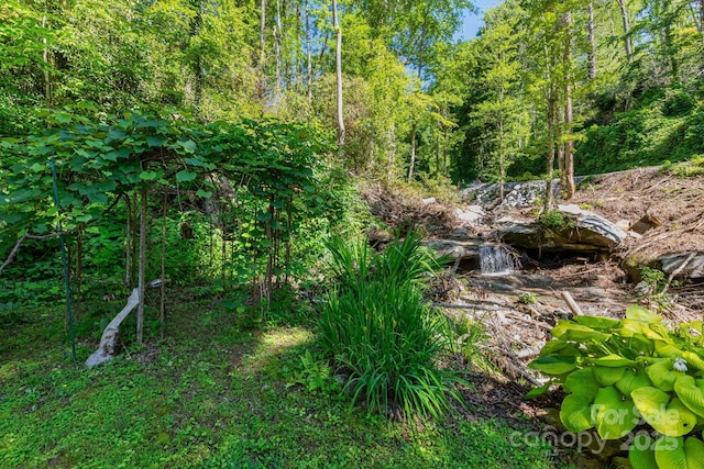 19 Hominy Branch Rd, Hendersonville, NC 28792 - photo 22