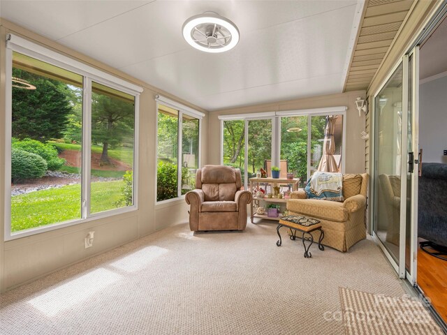 12 Tisha Ln, Hendersonville, NC 28739 - photo 24