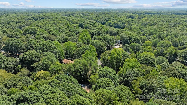 14314 Harbor Estate Rd, Charlotte, NC 28278 - photo 46