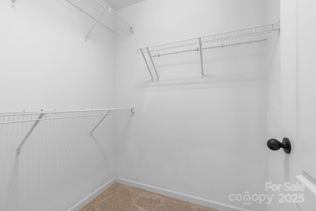 9 Barnett Shoals Dr, Weaverville, NC 28787 - photo 25