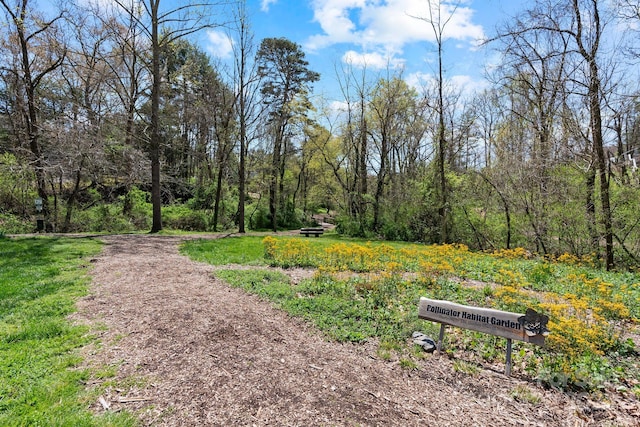 9 Barnett Shoals Dr, Weaverville, NC 28787 - photo 40