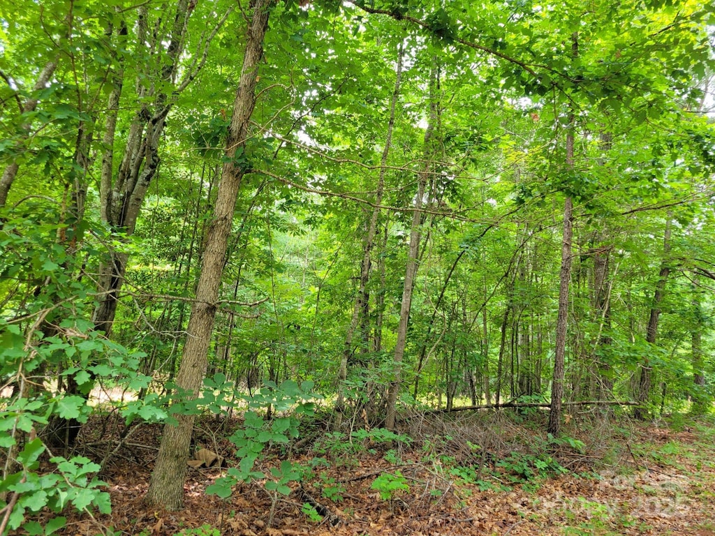 00 Dairy Rd, Troy, NC 27371