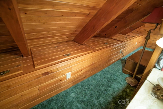 1465 Ohennesy Ln Unit 12, 13, 14, 15, Lenoir, NC 28645 - detailed view of wood walls and carpet