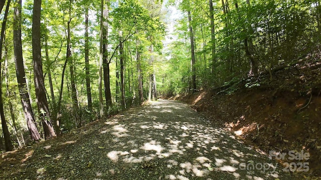 1465 Ohennesy Ln Unit 12, 13, 14, 15, Lenoir, NC 28645 - view of street with a forest view