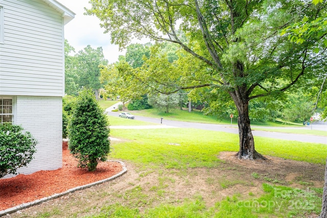 1728 Colony Rd, Salisbury, NC 28144 - view of green lawn with view of scattered trees