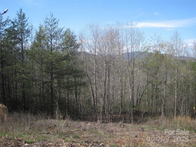 99999 Fairfield Ln, Marion, NC 28752 - photo 1