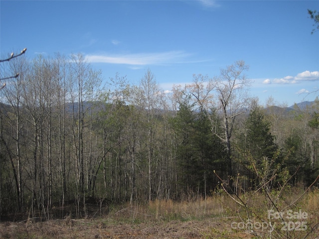 99999 Fairfield Ln, Marion, NC 28752 - photo 14