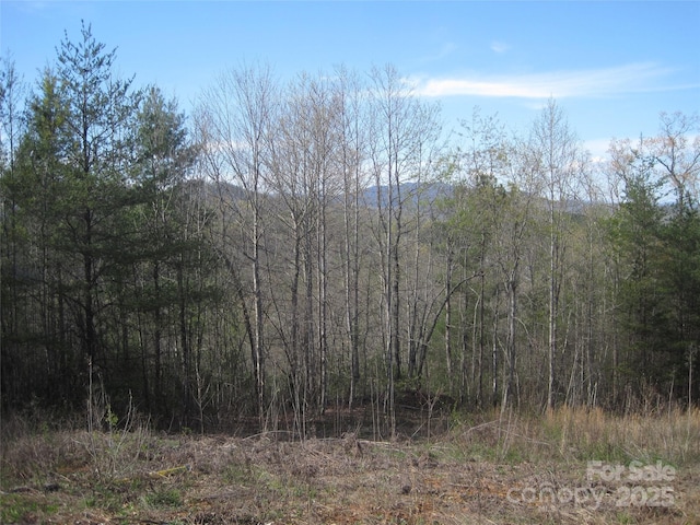 99999 Fairfield Ln, Marion, NC 28752 - photo 3