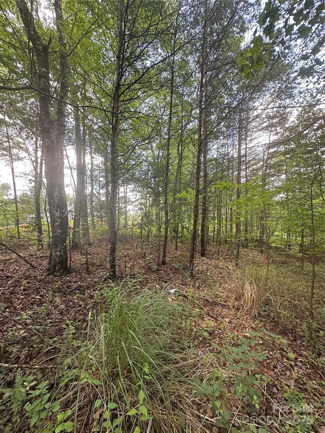 99999 Fairfield Ln, Marion, NC 28752 - photo 4