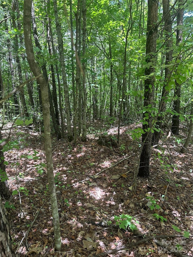 99999 Fairfield Ln, Marion, NC 28752 - photo 5