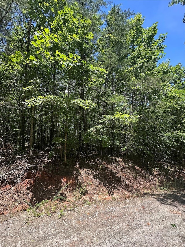 99999 Fairfield Ln, Marion, NC 28752 - photo 7