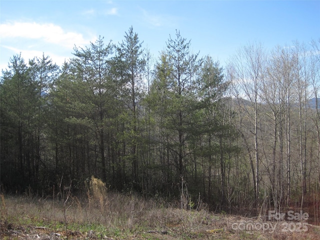 99999 Fairfield Ln, Marion, NC 28752 - photo 9