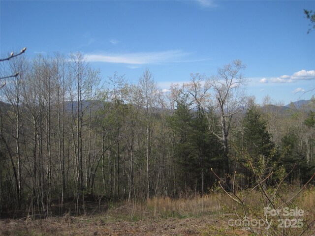 99999 Fairfield Ln, Marion, NC 28752 - photo 10