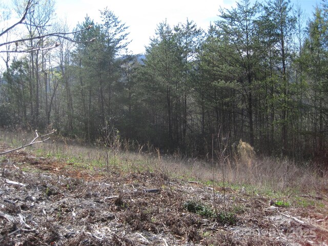 99999 Fairfield Ln, Marion, NC 28752 - photo 11