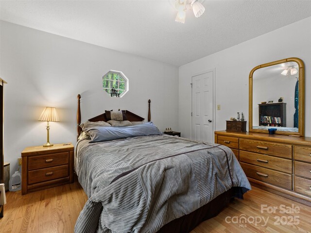 3128 Connestee Trl, Brevard, NC 28712 - photo 27