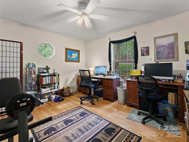 3128 Connestee Trl, Brevard, NC 28712 - photo 29