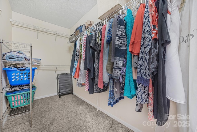 241 Chestnut Ave, Tega Cay, SC 29708 - spacious closet with carpet flooring