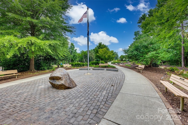 241 Chestnut Ave, Tega Cay, SC 29708 - view of property's community