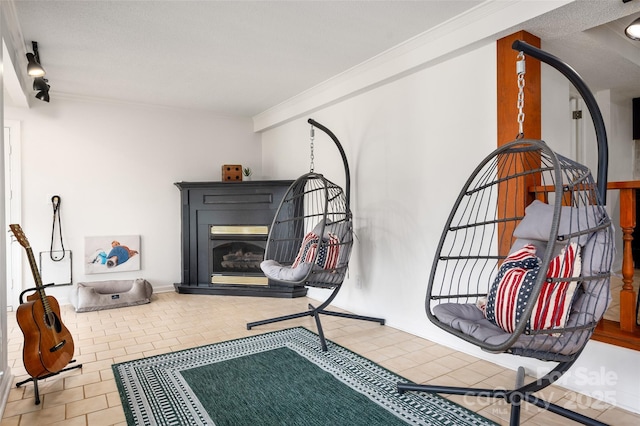 6259 River Cabin Ln, Charlotte, NC 28278 - detailed view of a glass covered fireplace and ornamental molding