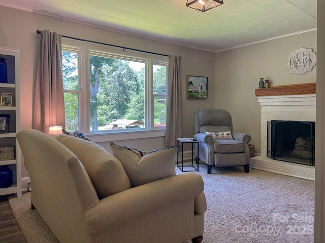 107 Byrd St, Morganton, NC 28655 - living room featuring ornamental molding and a fireplace