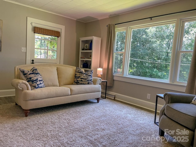 107 Byrd St, Morganton, NC 28655 - carpeted living room featuring crown molding and baseboards