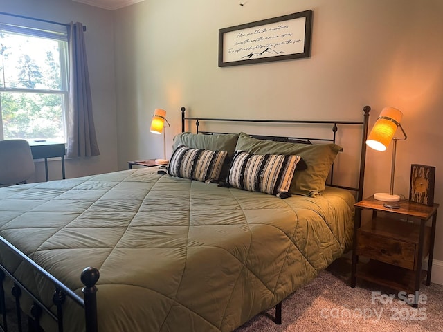 107 Byrd St, Morganton, NC 28655 - carpeted bedroom with crown molding