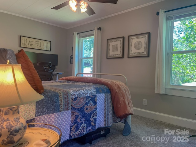 107 Byrd St, Morganton, NC 28655 - carpeted bedroom with ornamental molding and ceiling fan