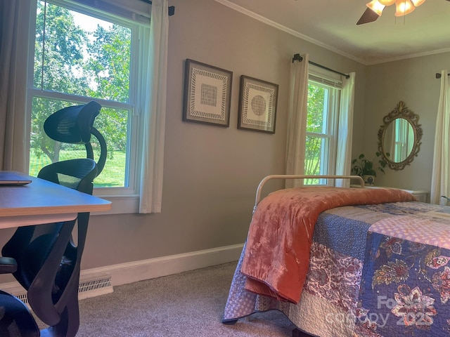 107 Byrd St, Morganton, NC 28655 - bedroom with carpet and ornamental molding