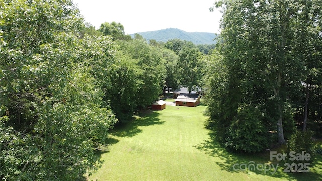107 Byrd St, Morganton, NC 28655 - view of green lawn with a mountain view